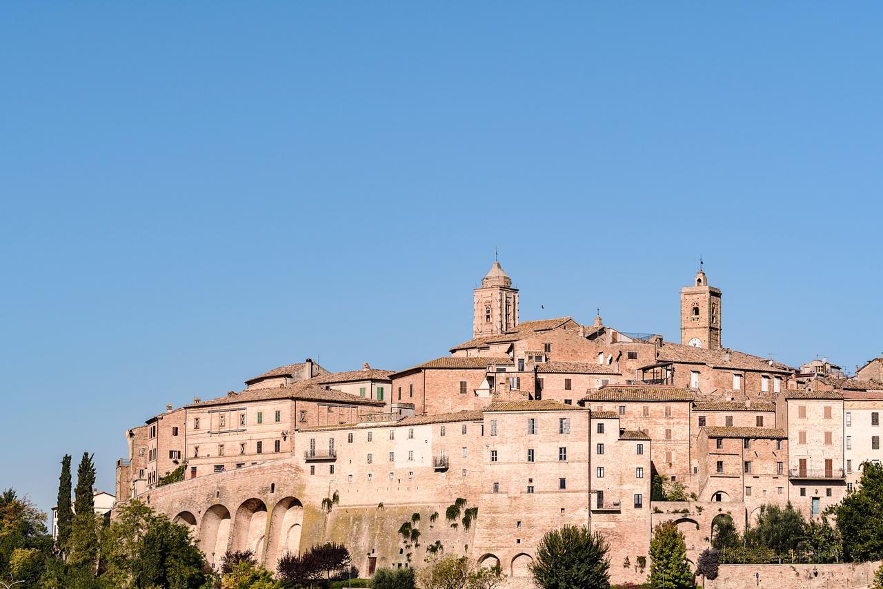 Contessina * Cossignano
