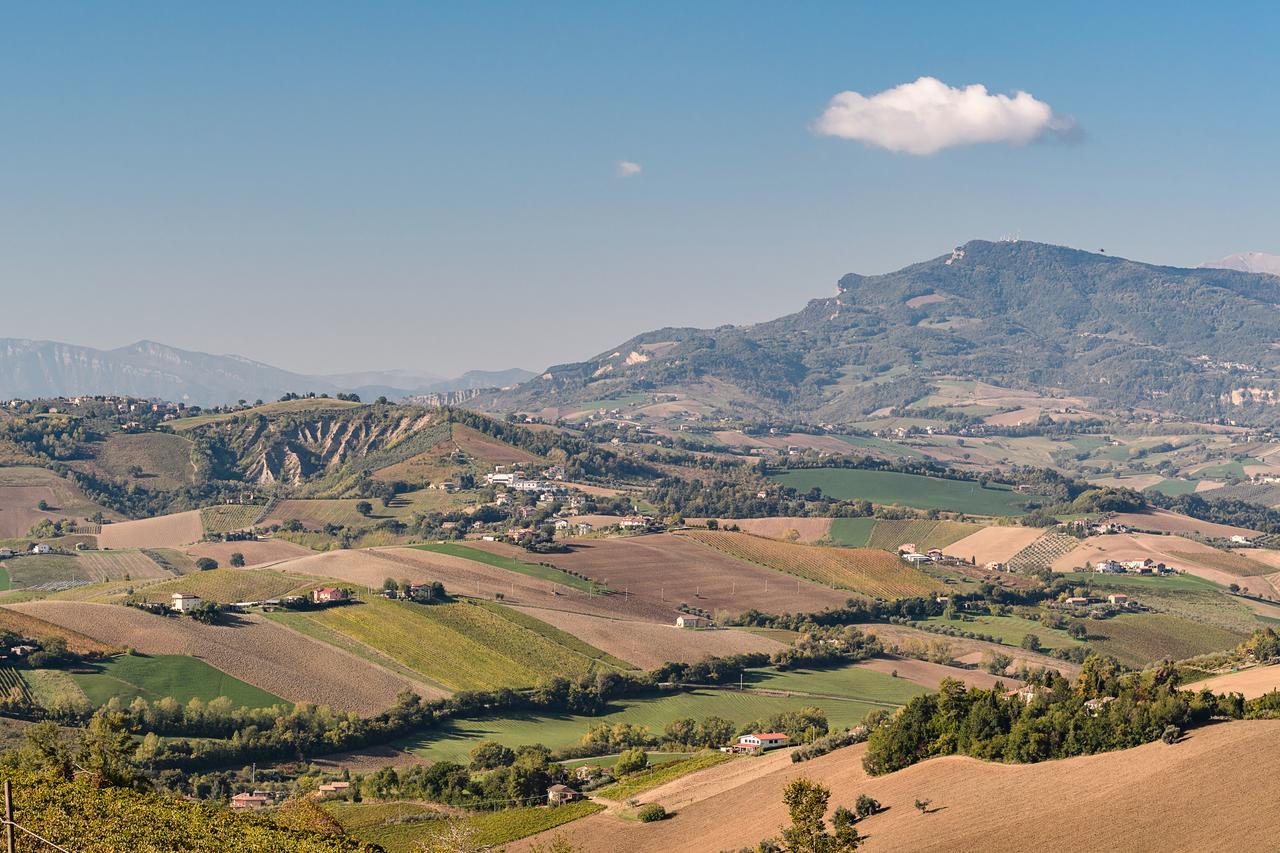 Contessina * Cossignano